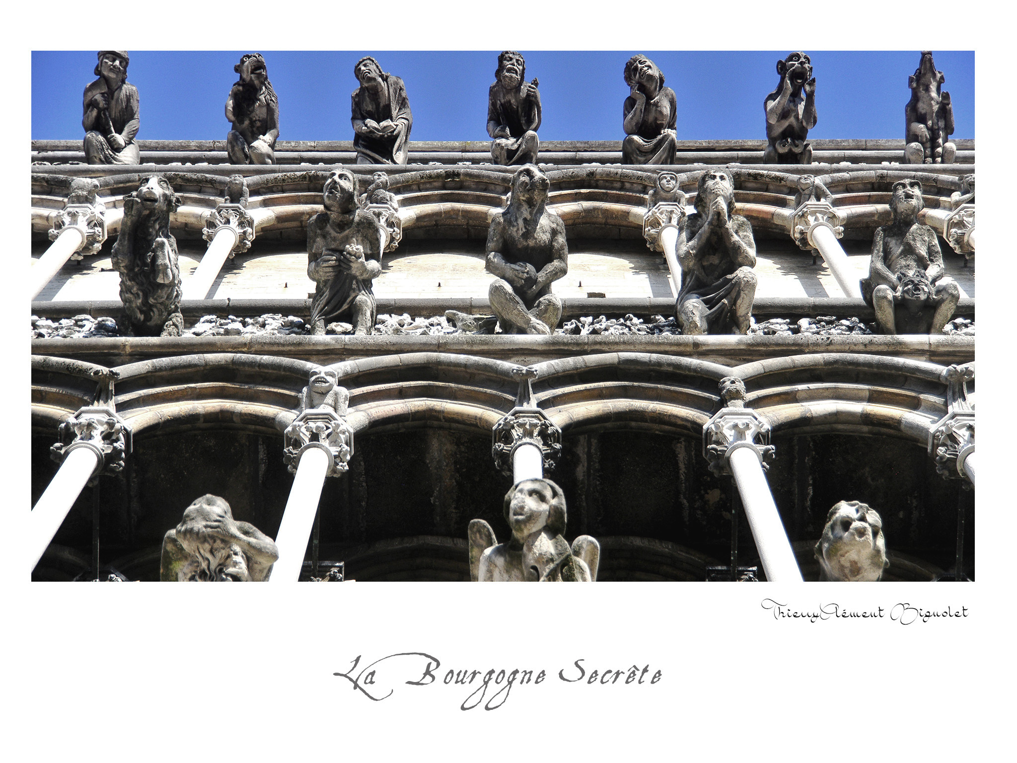 016 BOURGOGNE2016 20481
